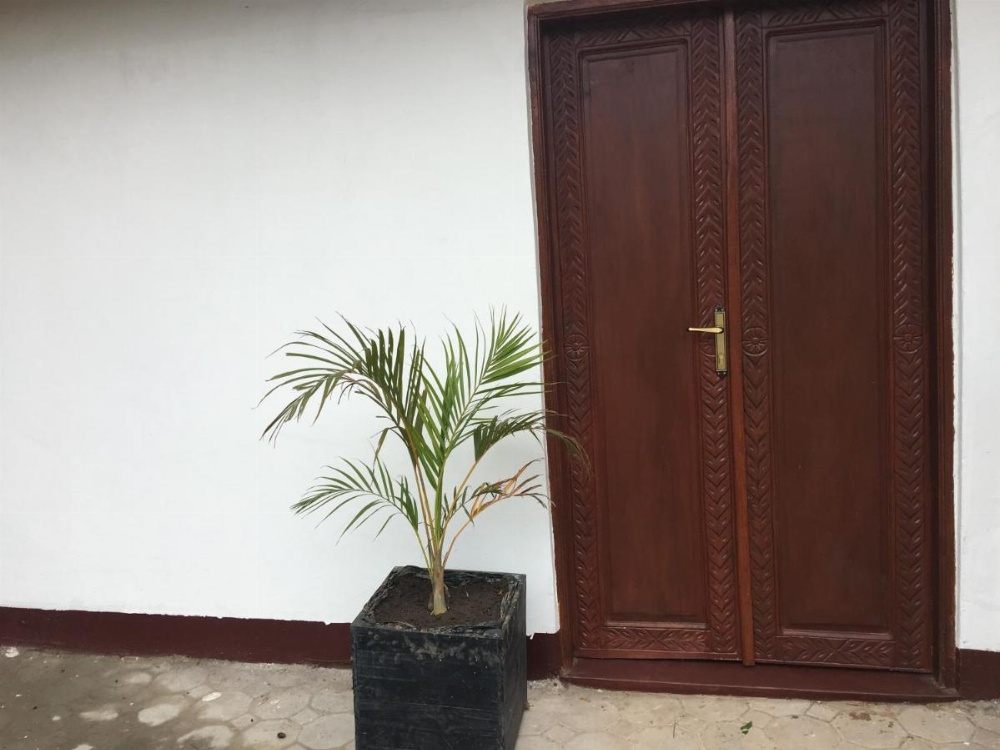 Wakawaka Hostel Image 6